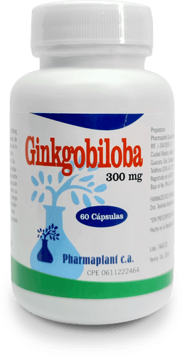 GINKGO BILOBA  300MG